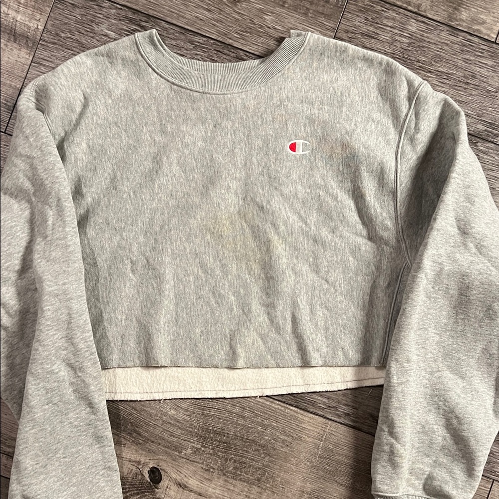 Champion Women's Light Gray Cropped Hoodie